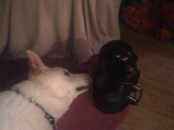 Chewie and Vader - Vader looking at the darth vader phone